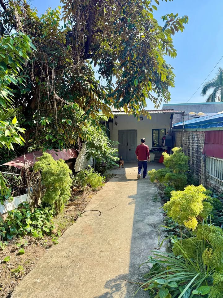 Đất nền An Đồng Hải Phòng 160m² giá 950 triệu - Tặng nhà cấp 4 tiện nghi!