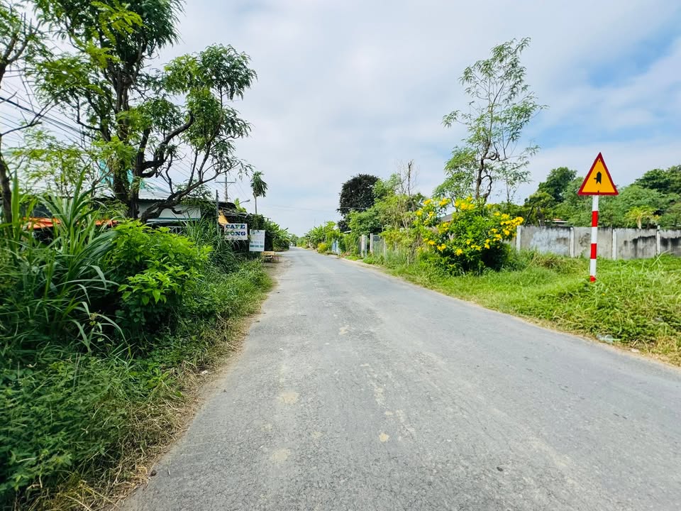 Đất nền Ấp Nghĩa Chí, Tân Hoà 293m² giá 1.25 tỷ - Đường nhựa rộng rãi, gần chợ, trường học!