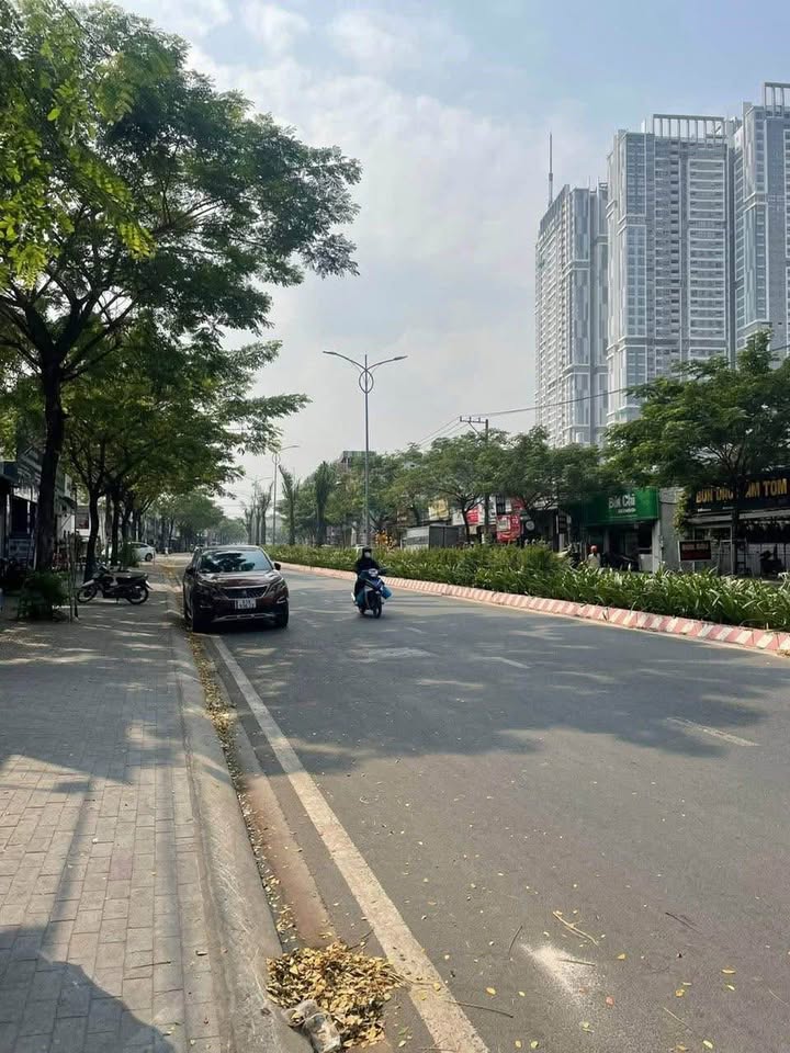Đất mặt tiền Trần Văn Ơn, Thủ Dầu Một 292m² - Vị trí kinh doanh sầm uất!