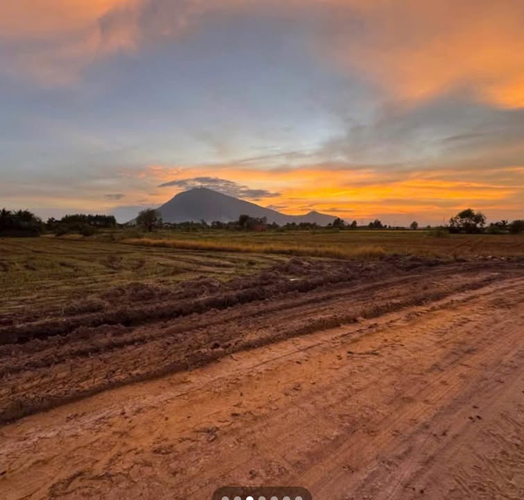 Đất Suối Đá Dương Minh Châu 1000m² giá 380 triệu - Phong thủy vượng khí!