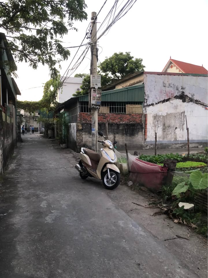 Đất Cẩm Thịnh Hạ Long 56m² giá 600 triệu - Bán gấp, gần biển và trường học!