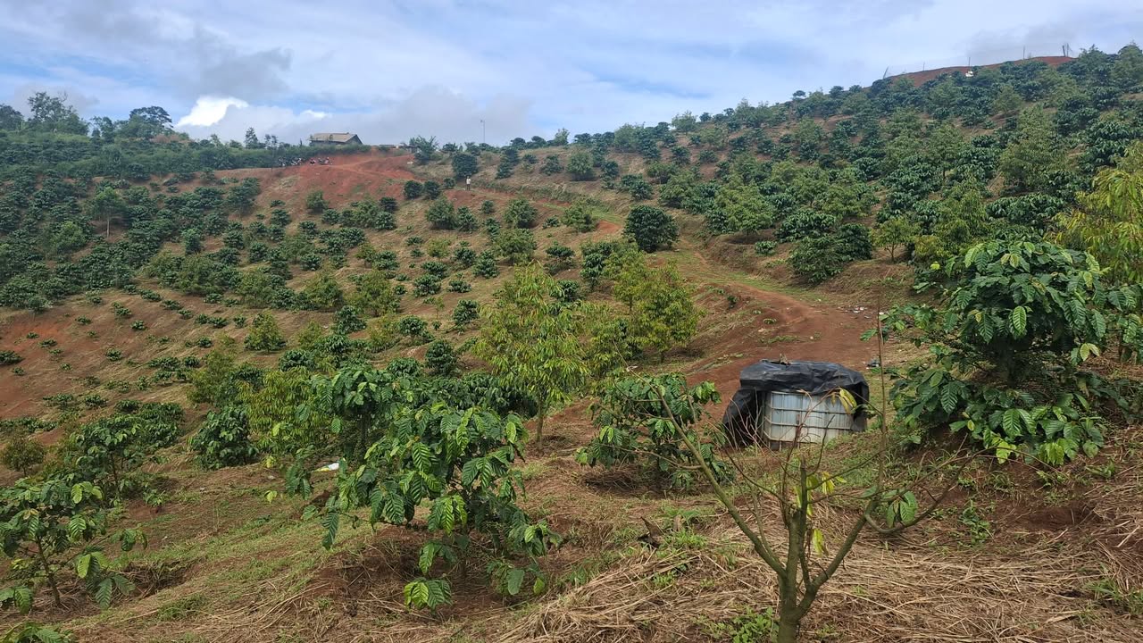 Đất nền 1ha9 Tân Thanh giá 2.65 tỷ - Cơ hội đầu tư tuyệt vời!
