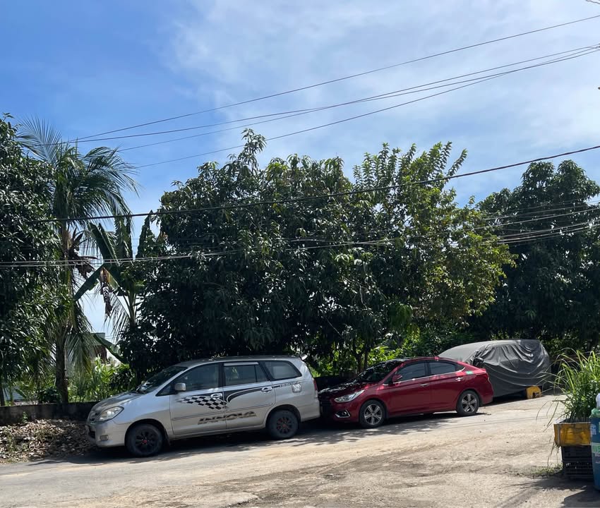 Đất nền Tăng Nhơn Phú B Thủ Đức 88m² giá 4.95 tỷ - Vị trí đắc địa ô tô vào tận nơi!