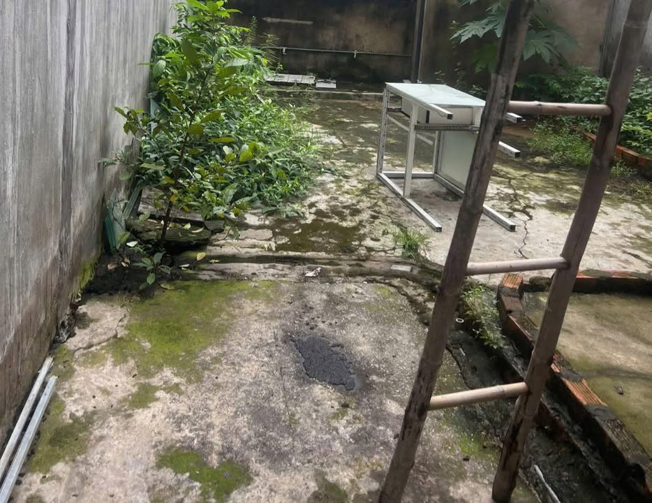 Đất nền Tân Đông Hiệp, Dĩ An 56m² giá 1.3 tỷ - Sổ chung, vị trí đẹp!