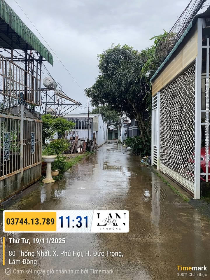 Đất nền 168m² xã Phú Hội, Đức Trọng - Giá 1.85 tỷ, đầu tư sinh lời!