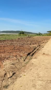 Đất nền Quảng Lập Đơn Dương 100m² chỉ 430 triệu - Sổ đỏ chính chủ!