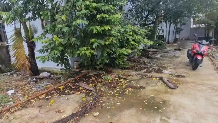 Đất kiệt Mân Thái, Sơn Trà, Đà Nẵng 75.5m² giá 3 tỷ - Đầu tư lý tưởng!