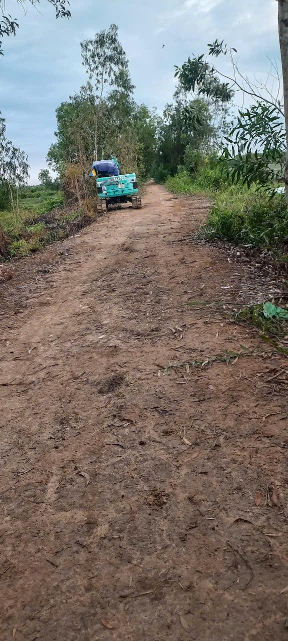 Đất lúa 17 công mặt tiền xã Thạnh An - Giá chỉ 1.82 tỷ, thương lượng chính chủ!