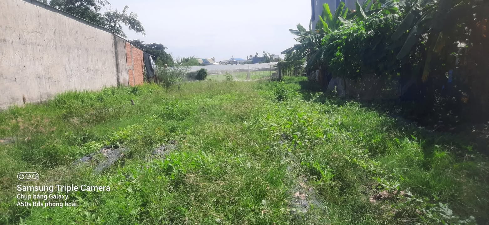 Đất thổ cư 350m² tại Mỹ Hạnh Nam, Long An - Sổ hồng chính chủ, giá chỉ 2.5 tỷ!