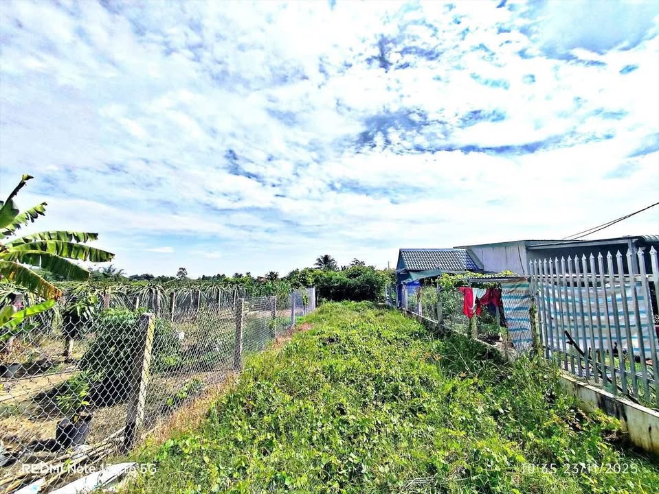 Đất thổ cư Phú Ngãi Trị, Châu Thành 116m² giá 460 triệu - Cơ hội đầu tư tuyệt vời!