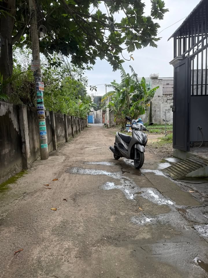 Nhà Bà Điểm Hóc Môn 39.6m² giá 1.95 tỷ - Vị trí đẹp, sổ hồng chính chủ!