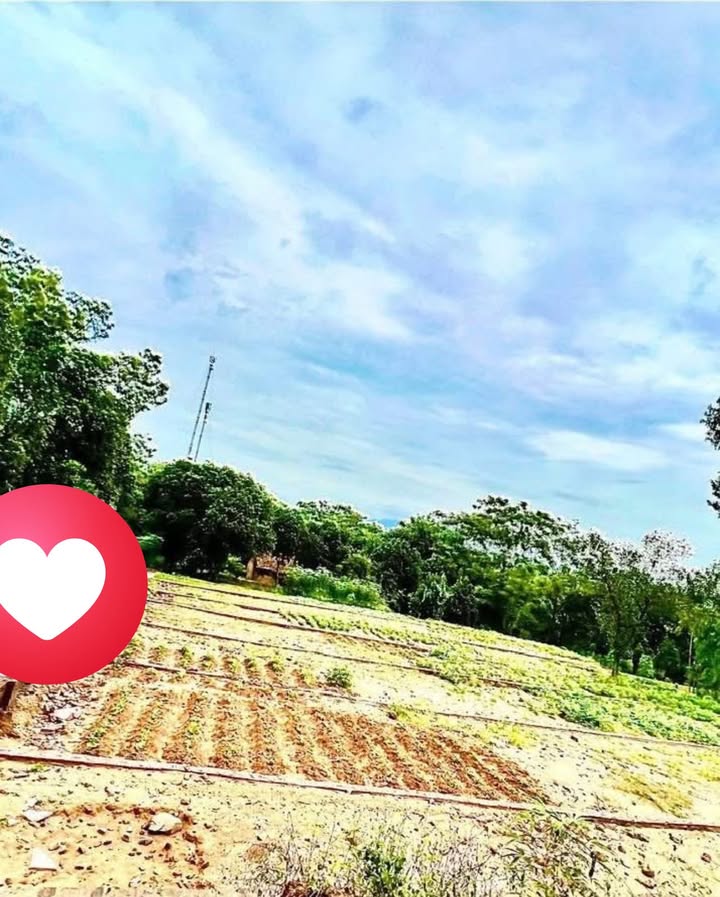 Đất nền Phù Lãng 360m² giá 1 tỷ - Đầu tư sinh lời ngay hôm nay!