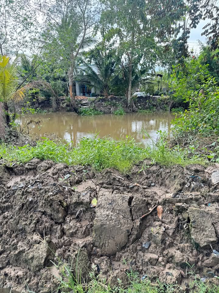 Đất nền Tân Nhuận Đông 250m² giá 420 triệu - Hướng Nam, xe hơi vào tận nơi!