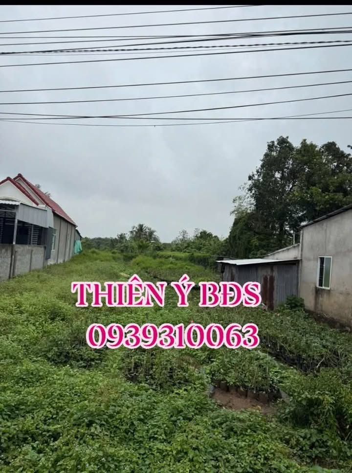 Đất nền Tân Khánh Đông, Sa Đéc 585m² giá 520 triệu - Pháp lý rõ ràng, công chứng nhanh!