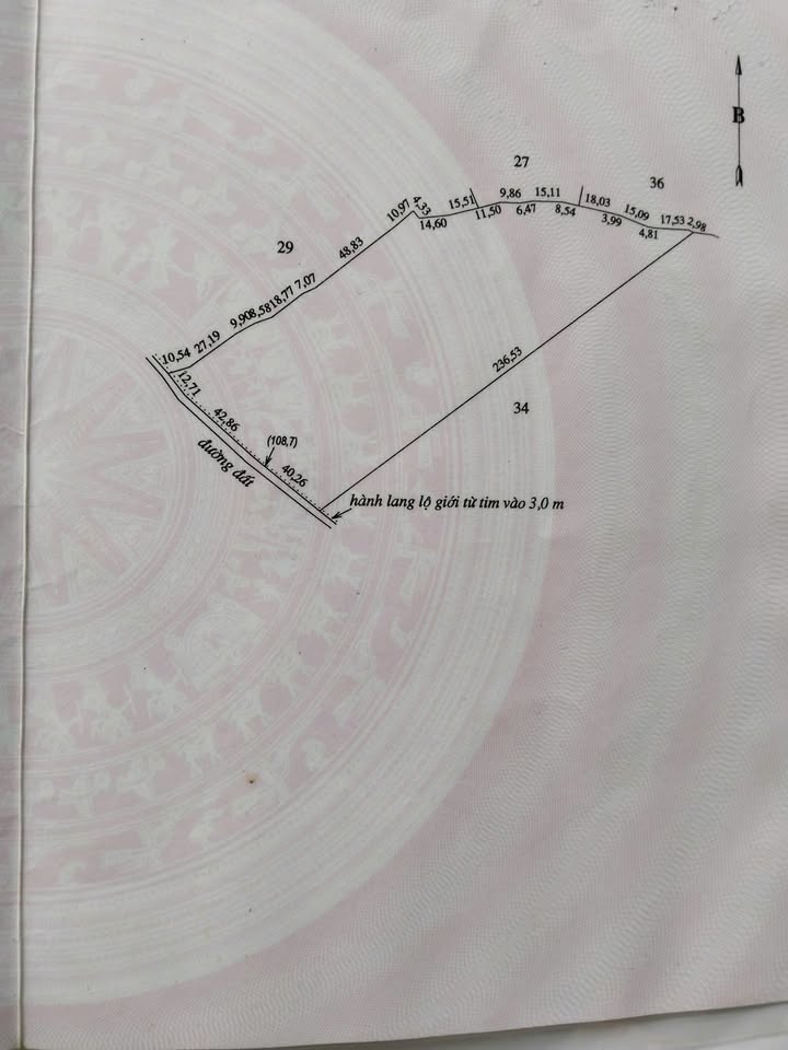 Farm 1.7ha tại Long Bình, Biên Hòa - Đầu tư sinh lời với sầu riêng Thái!