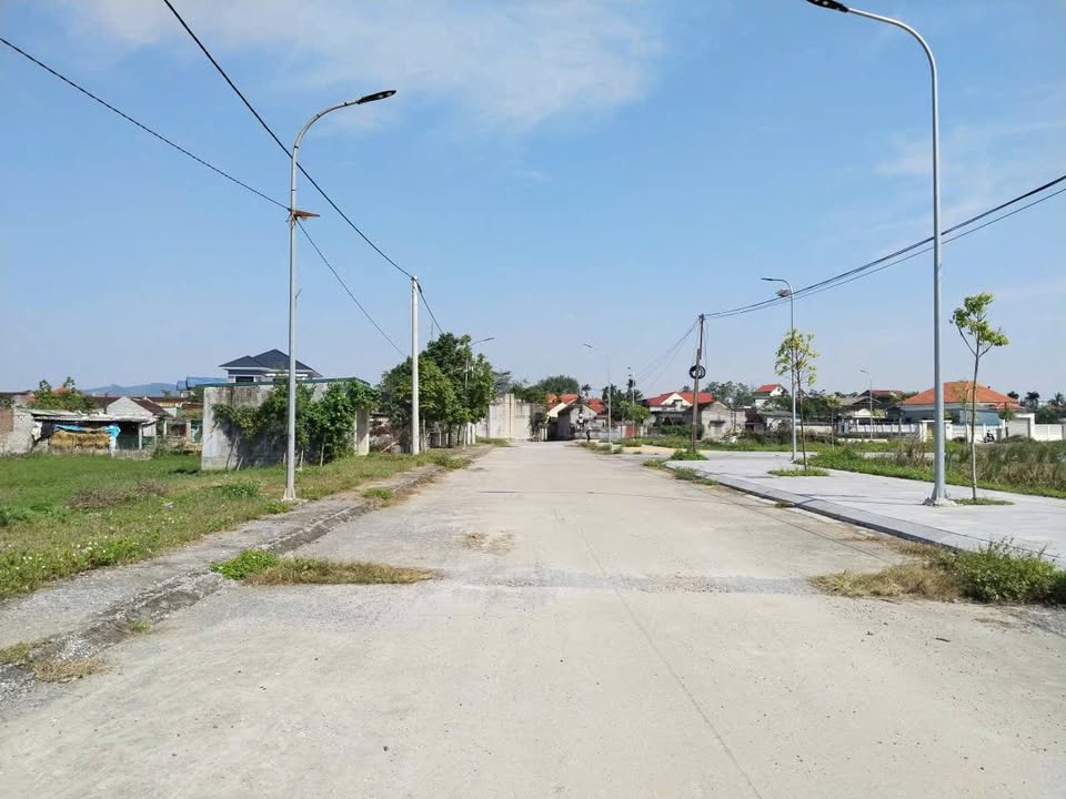 Đất nền thôn Trịnh, Hoằng Giang 1931m² - Đầu tư sinh lời ngay!