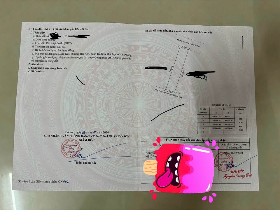 Đất nền 80m² Đường Đoàn Kết, Hải Sơn, Đồ Sơn - Đầu tư sinh lời hấp dẫn!