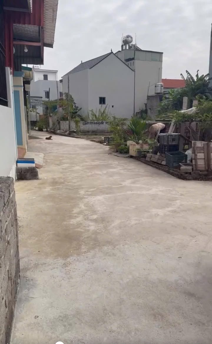 Đất nền lô góc Vân Tảo, Thường Tín 74m² giá 4 tỷ - Mặt tiền thoáng đẹp!