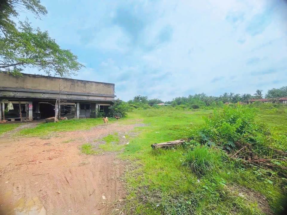 Đất vàng Long Phước Thủ Đức 8.544m² giá 86 tỷ - Cơ hội đầu tư hiếm có!