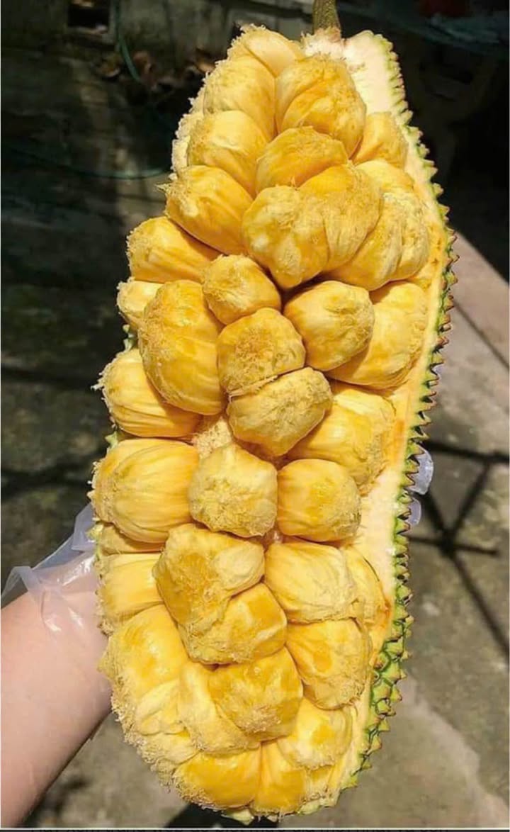 Nhà riêng Thuận Giao, 68m² chỉ 2 tỷ - Cơ hội đầu tư tuyệt vời!