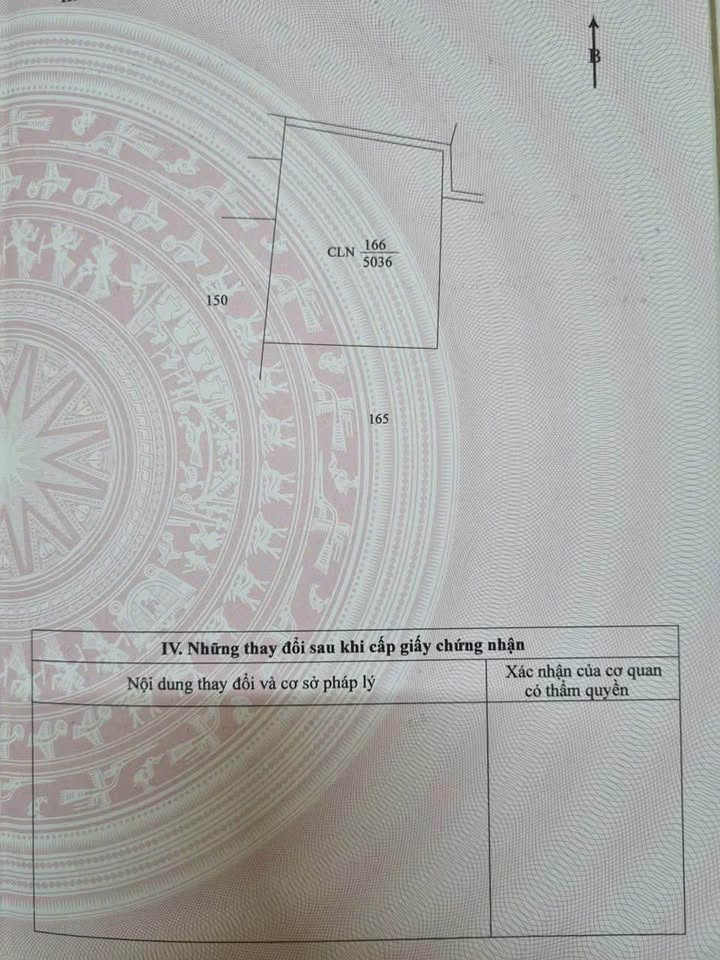 Đất nông nghiệp 5 xào tại Ea Nuôl, Buôn Đôn - Giá tốt chỉ 1.1 tỷ!