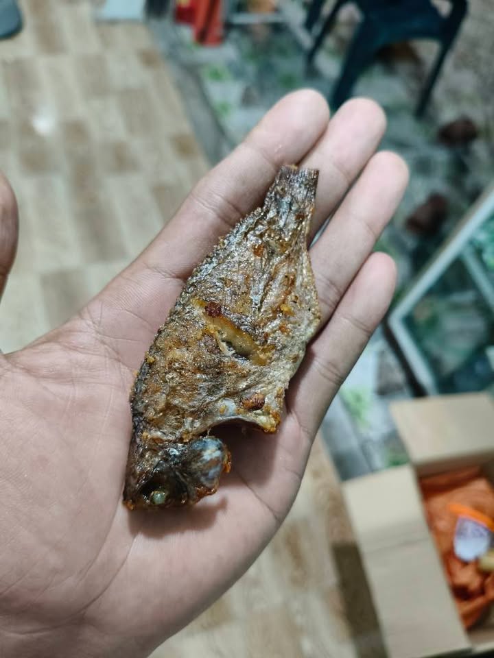 Đất nền Tân Thạnh Đông Củ Chi 194m² giá 3 tỷ - Đầu tư sinh lời ngay!