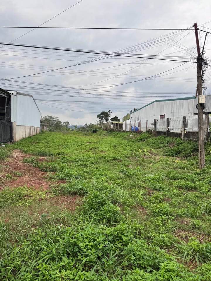 Đất thổ cư 896m² mặt tiền Quốc lộ 14, Ea H'leo, Đắk Lắk - Khu dân cư sầm uất!