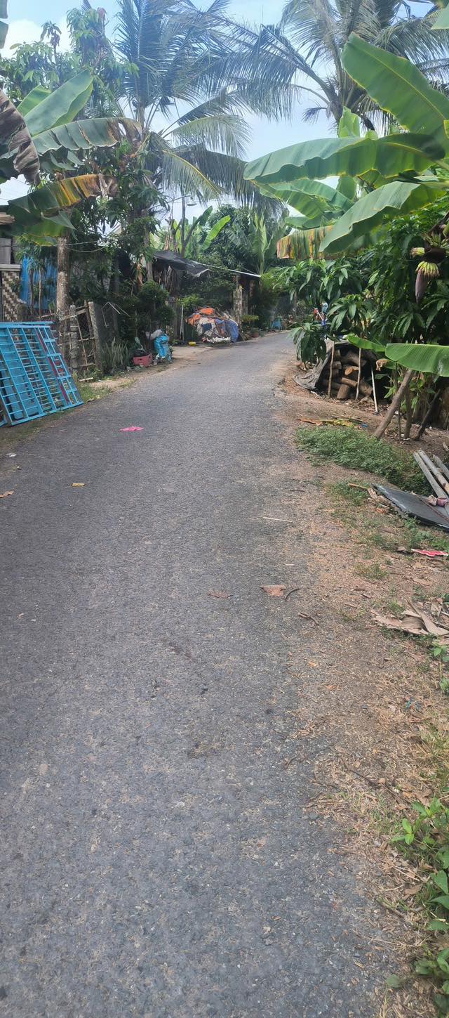 Đất nền xã Bình Thành, huyện Thanh Bình, 120m² - Mặt tiền đường nhựa, giá thỏa thuận!