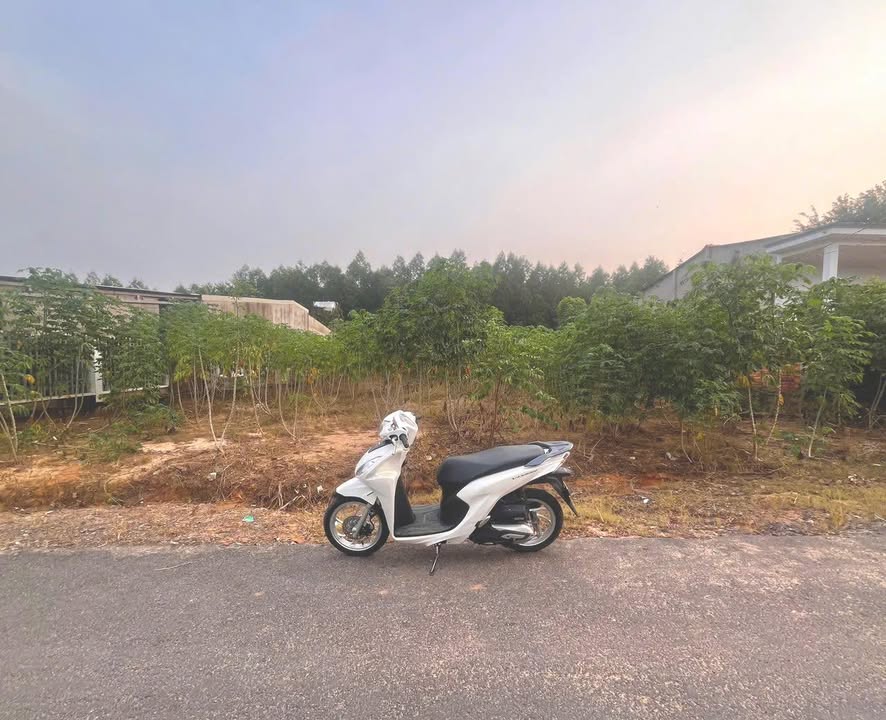 Đất ấp Tân Hiệp 4, xã Phước Thái, 1100m² giá 5 tỷ - Sổ riêng thổ cư ngay!