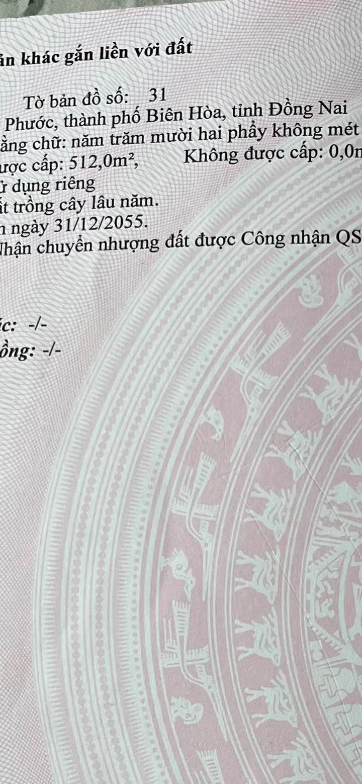 Đất sổ đỏ Tam Phước Biên Hòa 512m² giá 2.7 tỷ - Dân cư đông đúc, đường nhựa rộng rãi!