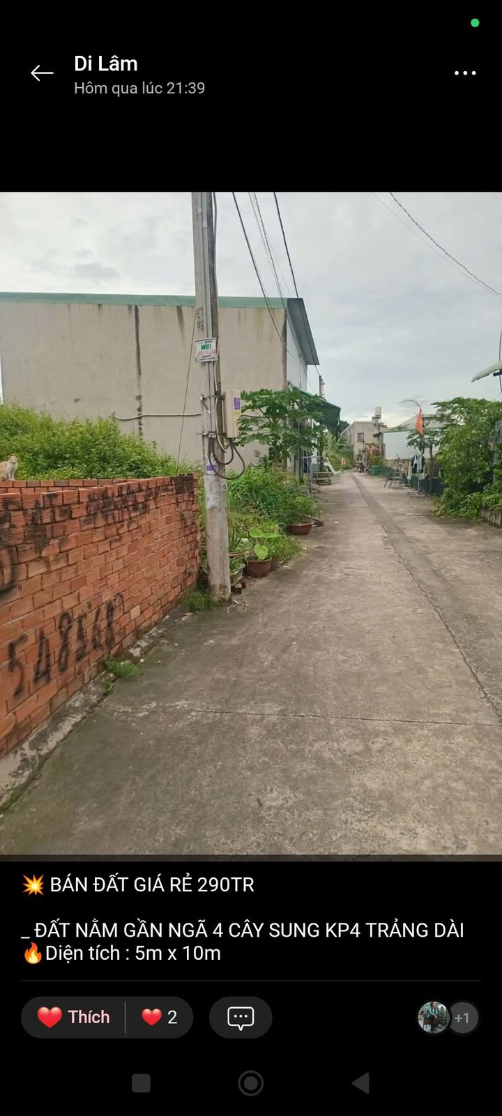 Bán đất Trảng Dài, Biên Hòa 50m² giá 290 triệu - Cơ hội đầu tư hấp dẫn!