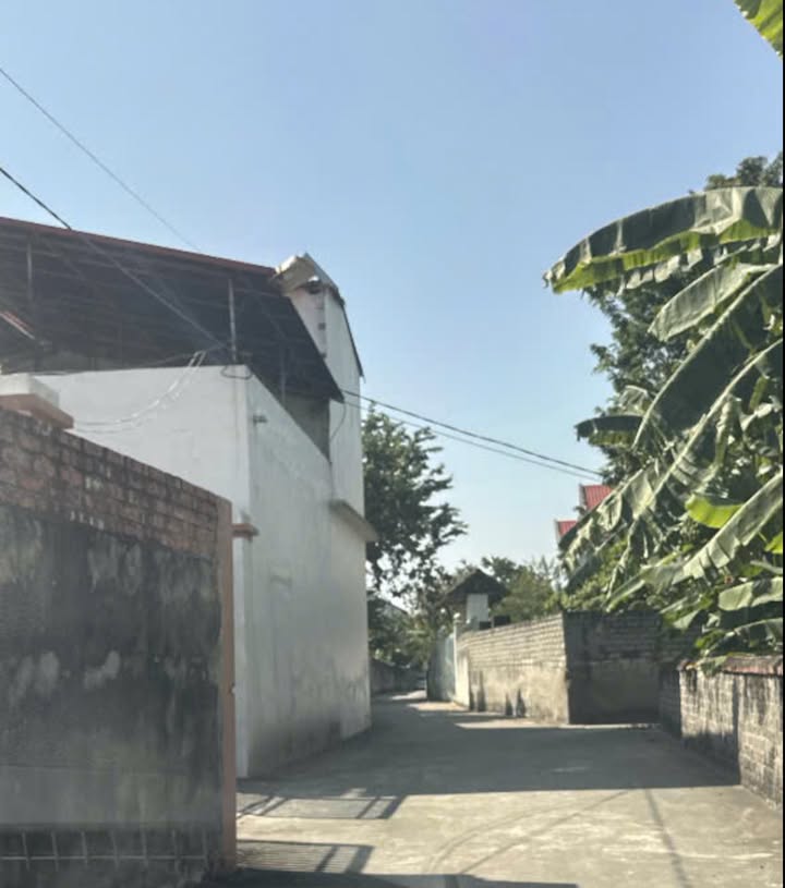 Đất nền Xuân Phú Yên Dũng 155m² - Tiềm năng đầu tư vượt trội!