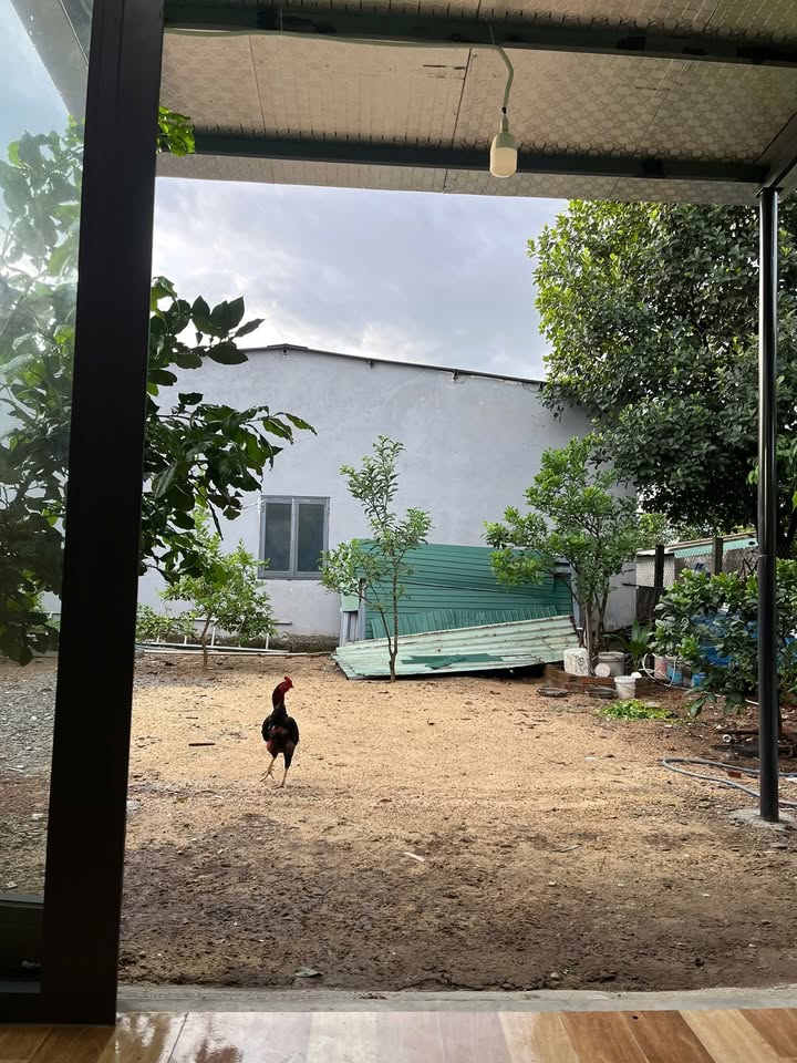 Nhà vườn Hòa Khánh Đà Nẵng 200m² giá thỏa thuận - Đầu tư sinh lời hiệu quả!