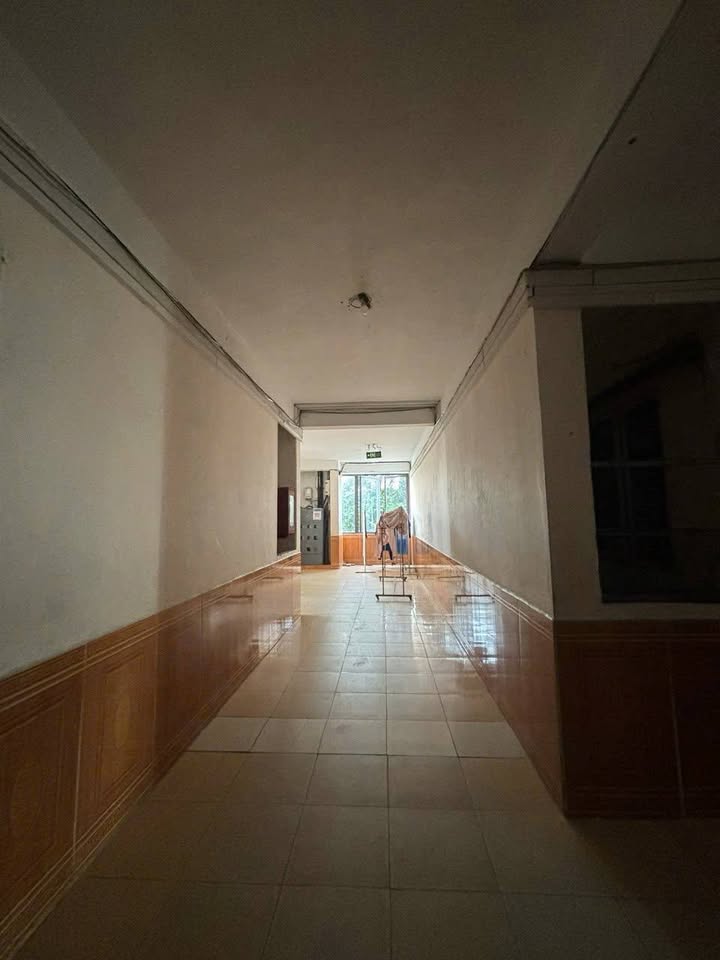 Chung cư Vicoland Sơn Trà 50m² giá 5 triệu - Cơ hội thuê ngay!