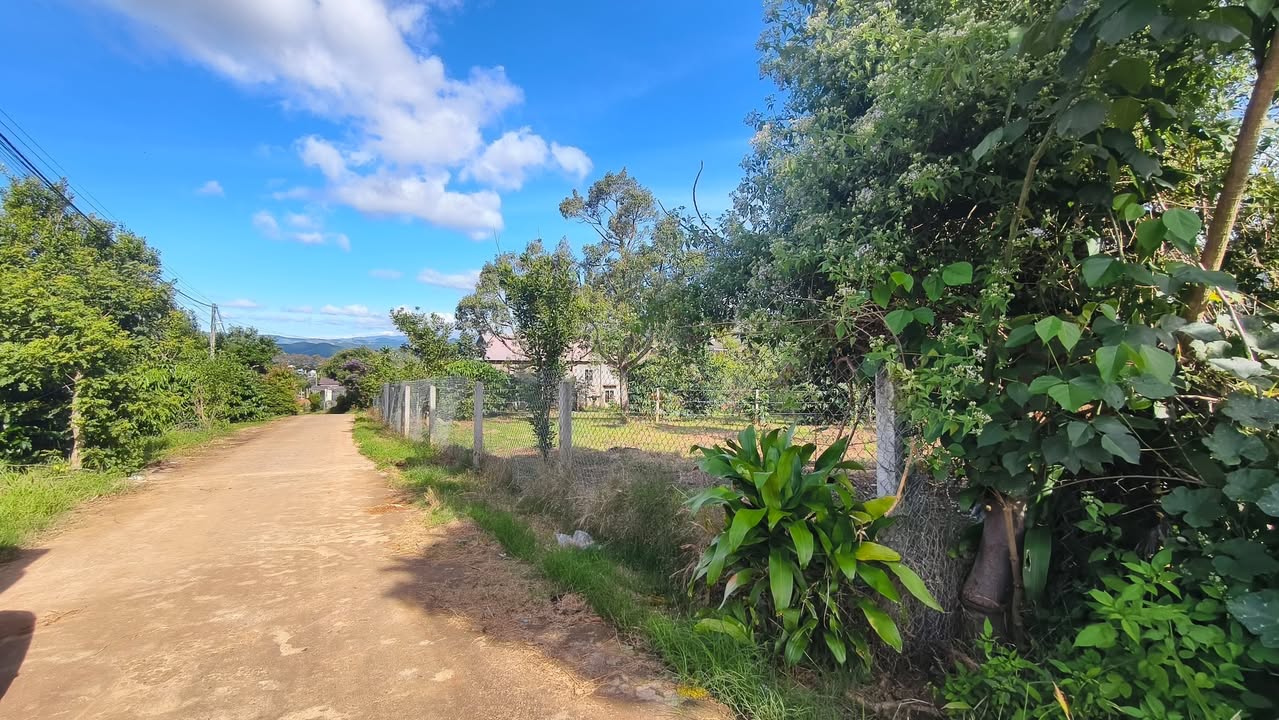 Đất nền 600m² tại Đông Thanh, Lâm Hà - Giá chỉ 1.2 tỷ, cơ hội đầu tư hấp dẫn!