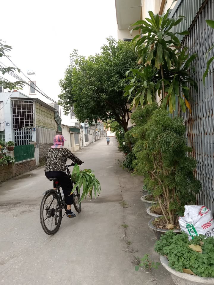 Đất nền Yên Thanh, Uông Bí 70m² giá 1 tỷ - Đầu tư sinh lời ngay!