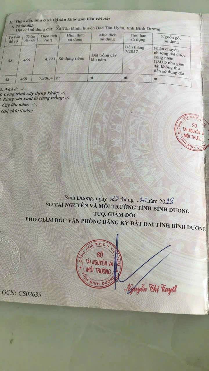 Farm 1,2ha tại xã Tân Định, Bắc Tân Uyên giá 6,5 tỷ - Đường ô tô vào tận nơi!