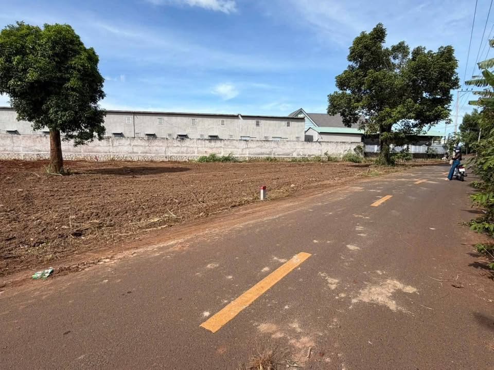 Đất nền Đất Đỏ 320m² giá 2.05 tỷ - Đường Lê Thị Hồng Gấm, sổ hồng chính chủ!