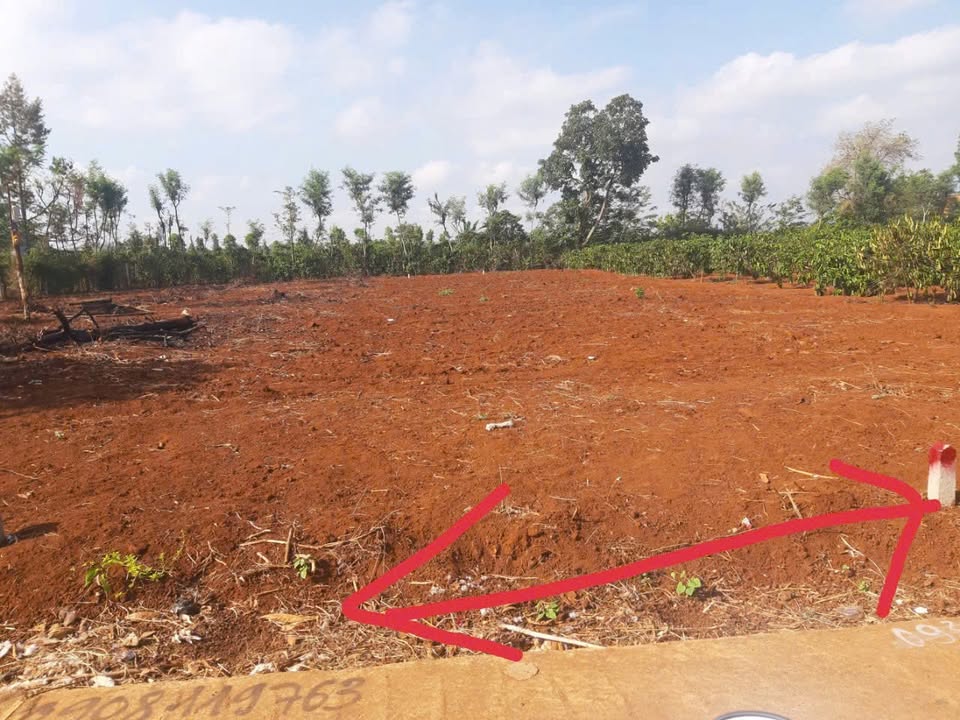 Đất thổ cư Hòa Khánh Buôn Ma Thuột 260m² giá 550 triệu - Đầu tư sinh lời ngay!