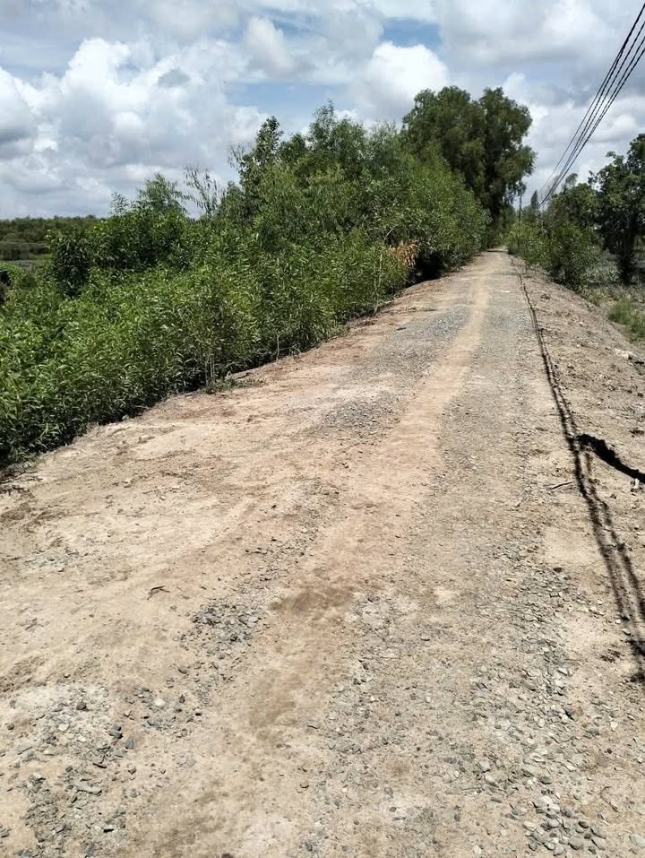 Đất nền 9,8 công tại khu phố 3, thị trấn Mỹ Phước, giá chỉ 833 triệu - Cơ hội đầu tư hấp dẫn!