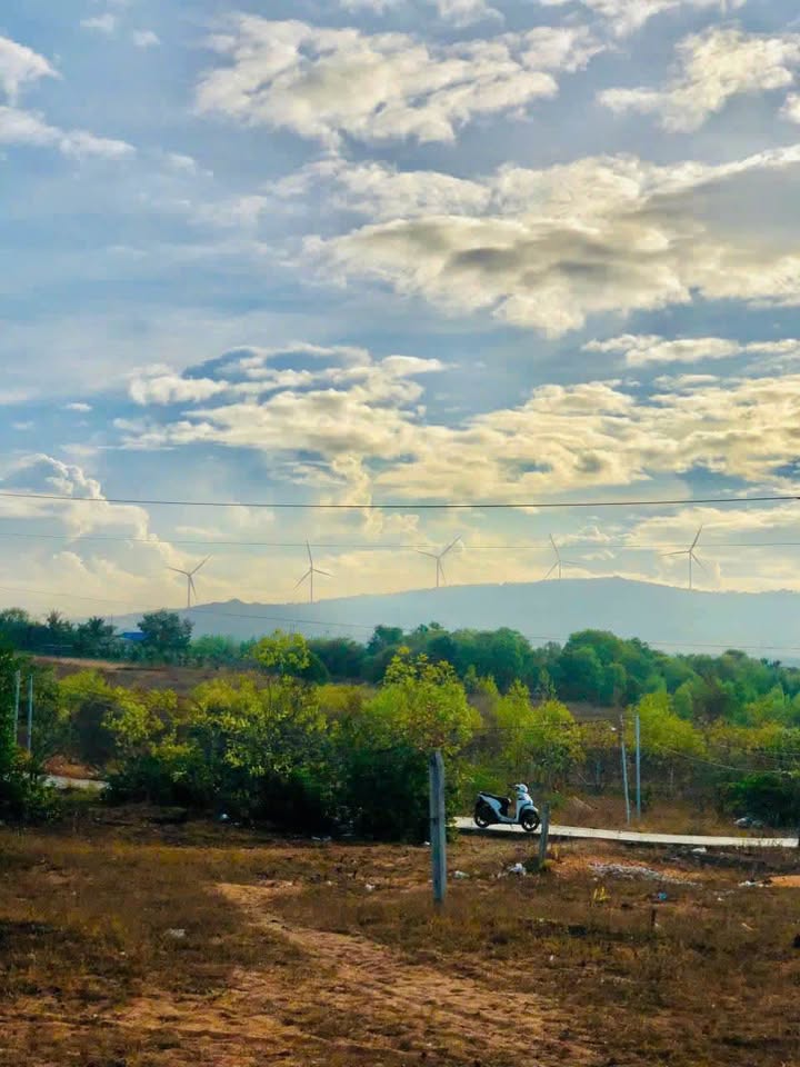 Đất nền mặt tiền Hồ Quang Cảnh, Mũi Né - Diện tích 1500m², giá đầu tư hấp dẫn!