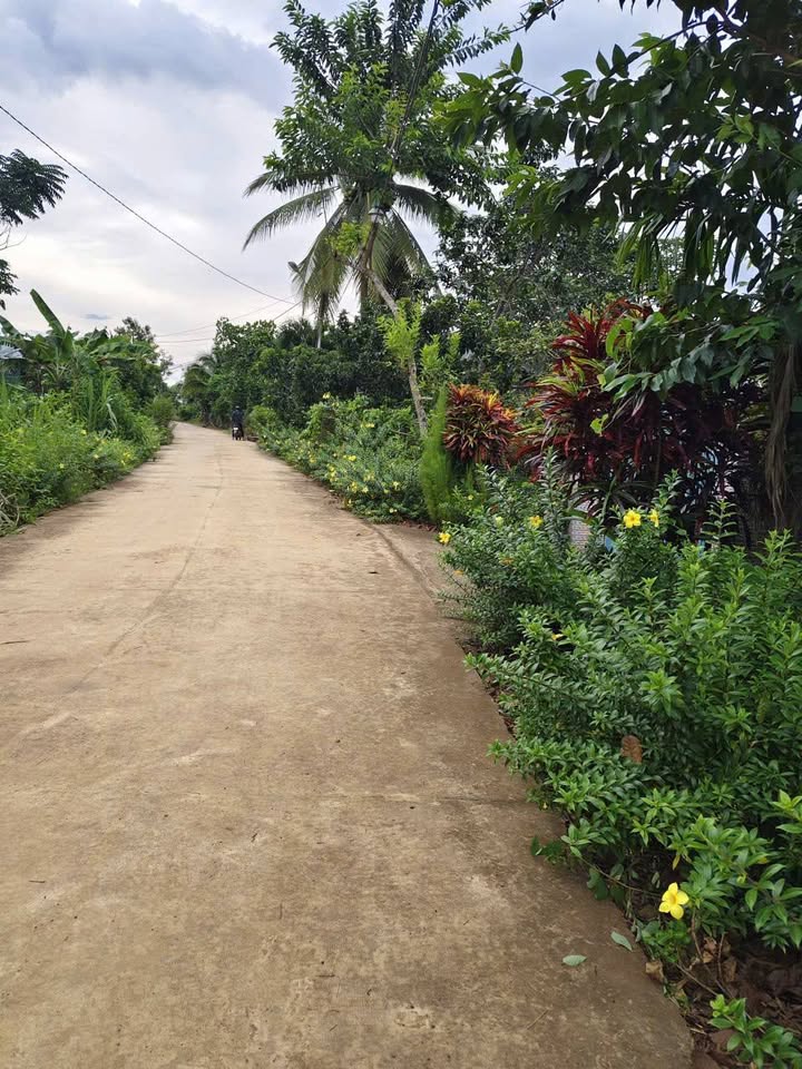 Đất thổ cư Bình Lộc, Long Khánh 165m² giá 750 triệu - Cơ hội đầu tư tuyệt vời!