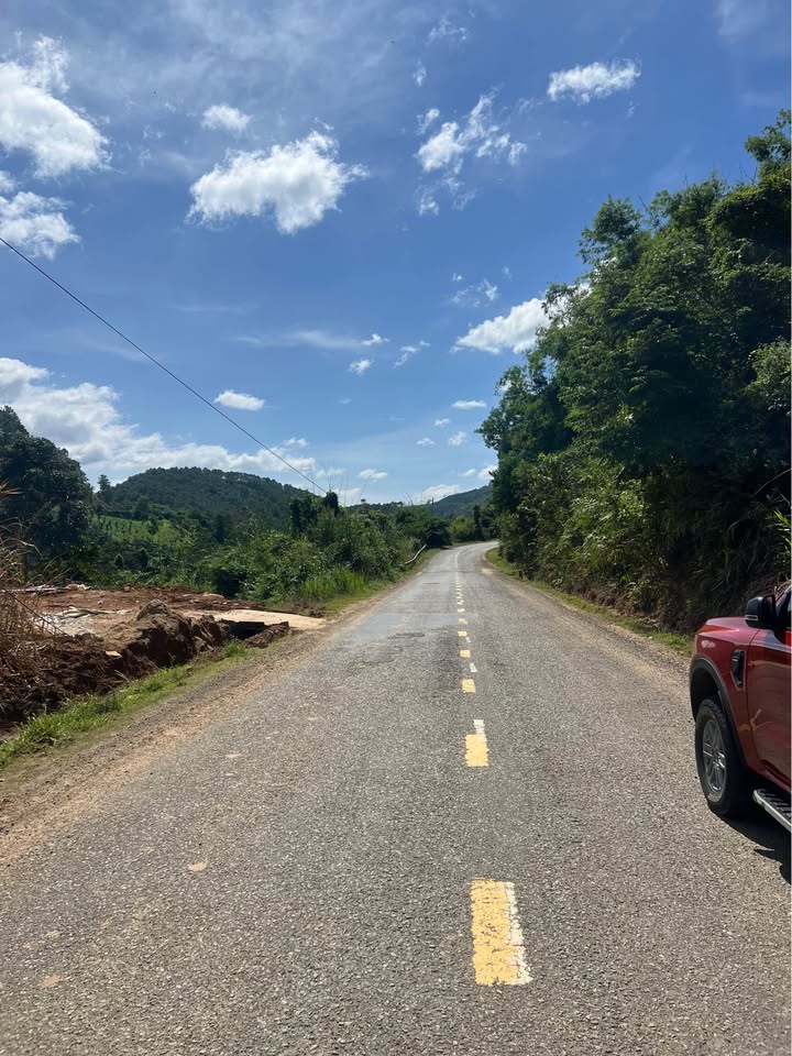 Farm 1ha2 tại Tân Thanh, Phú Thọ giá 1.5 tỷ - Đất trồng cây thoải mái!