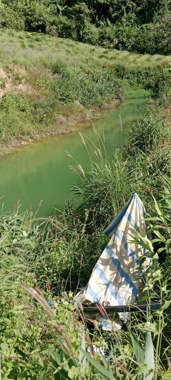 Đất nền Phúc Thọ Lâm Hà 2ha giá 2.6 tỷ - Cơ hội đầu tư hiếm có!