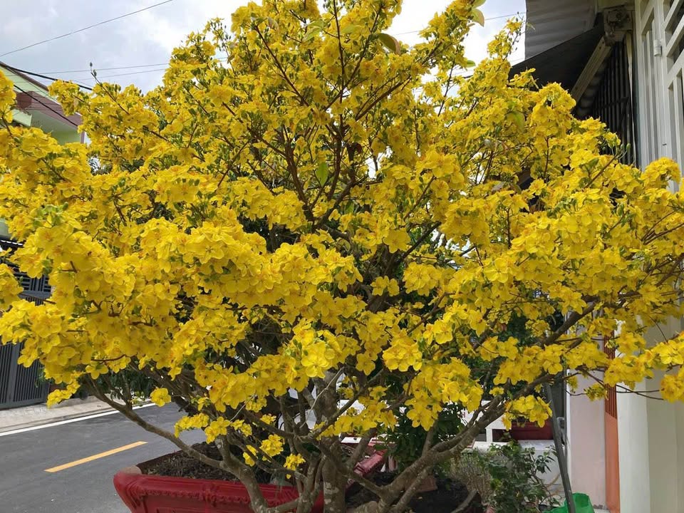 Đất nền tái định cư khu đô thị Tây Bắc Rạch Giá 90m² - Sổ hồng chính chủ, xây tự do!