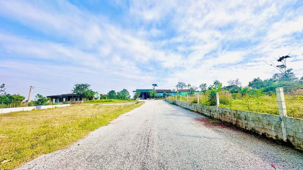 Đất thổ cư Tân Lộc, Thạch Xuân 202m² giá chỉ 500 triệu - Vị trí đắc địa!