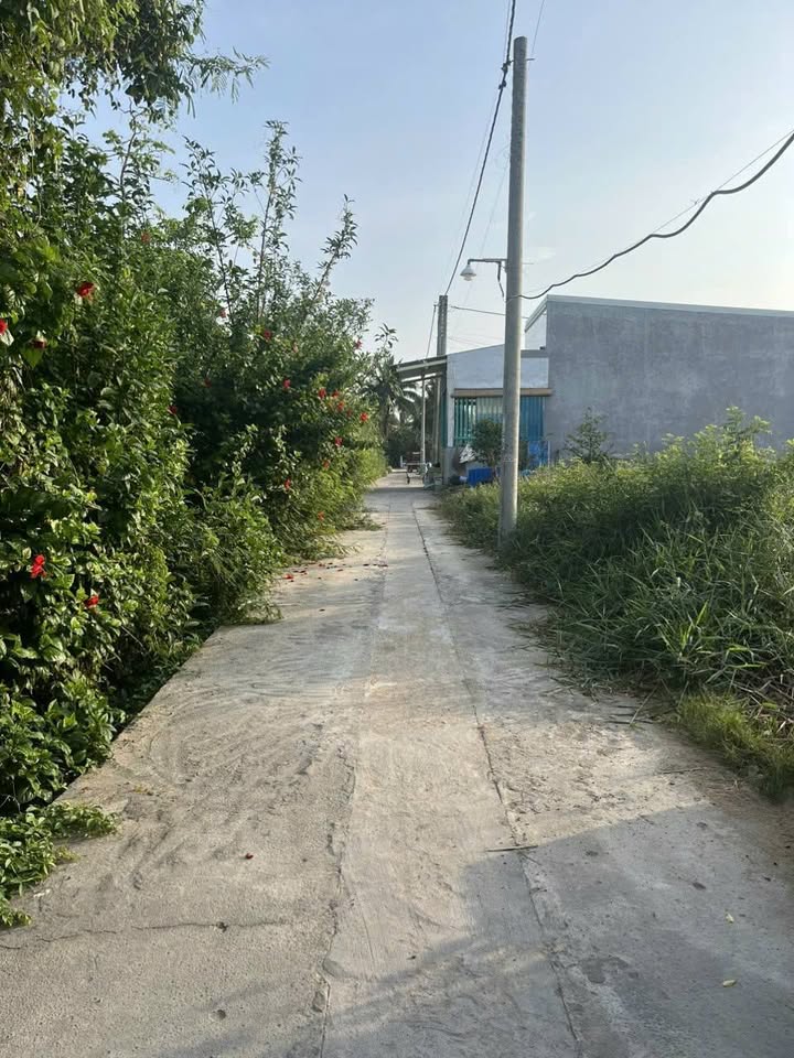 Đất nền 90m² tại Ấp Mỹ Lợi, Phường Mỹ Phong chỉ 4xx triệu - Cơ hội đầu tư vàng!