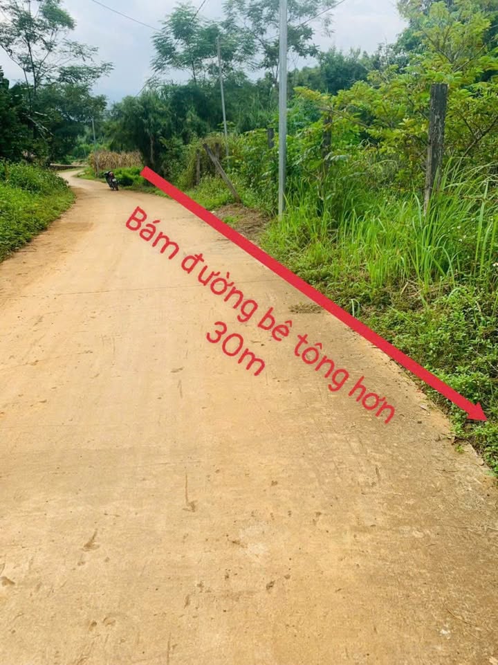 Đất nền Hợp Phong, Cao Phong 1200m² - Giá bán linh hoạt, cơ hội đầu tư tuyệt vời!