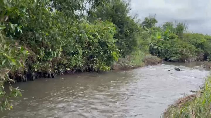 Đất nông nghiệp 6000m² tại Xuân Thọ, Xuân Lộc - Sở hữu ngay suối nước tự nhiên!