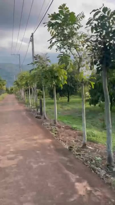 Đất nền Suối Cao, Xuân Lộc 1140m² - Mặt tiền đường bê tông, giá thỏa thuận!